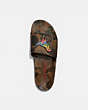 COACH®,SLIDE WITH RAINBOW SIGNATURE REXY,Coated Canvas,Wildbeast Multi,Inside View,Top View