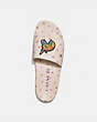 COACH®,SLIDE WITH RAINBOW SIGNATURE UNI,Coated Canvas,Creme Multi,Inside View,Top View