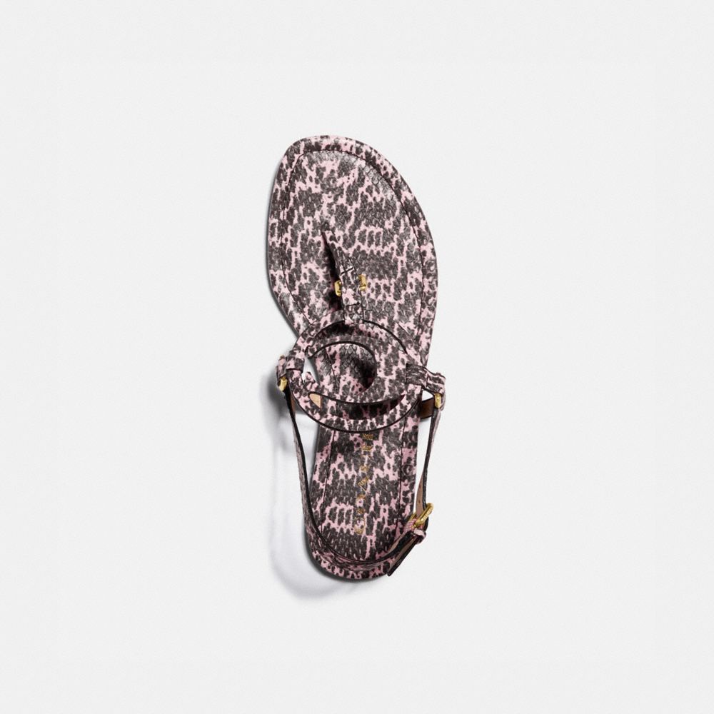 Jeri Sandal