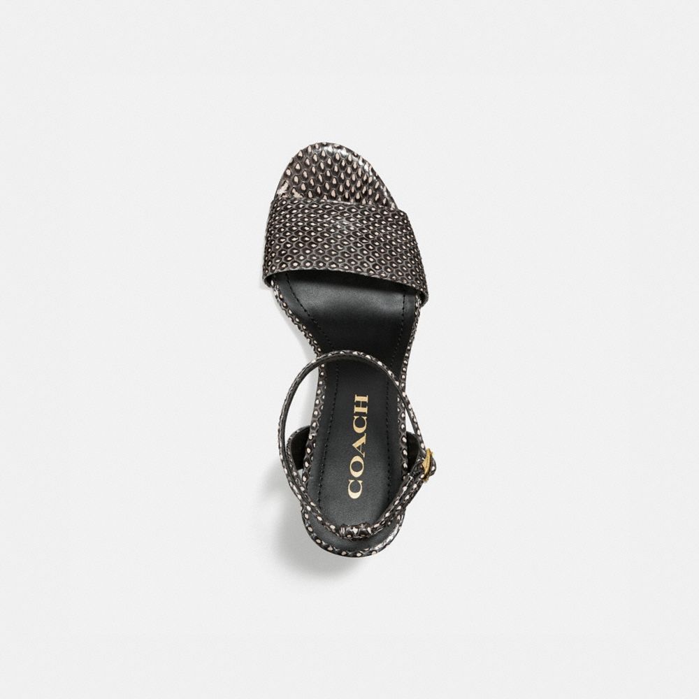 COACH Regina Sandal In Snakeskin