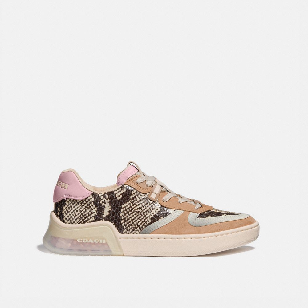 Citysole Court Sneaker In Snakeskin