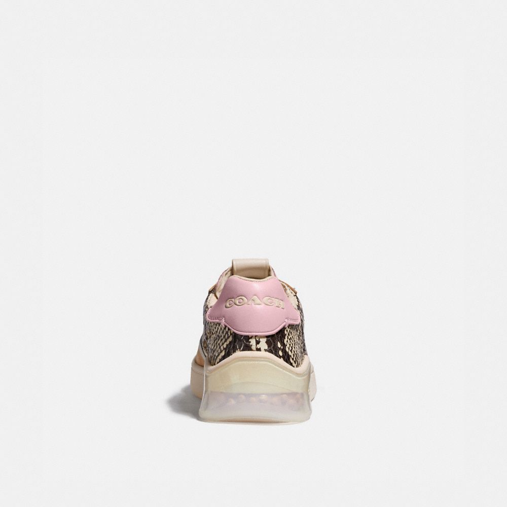 Citysole Court Sneaker In Snakeskin