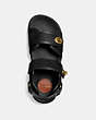 COACH®,TRAIL SANDAL,mixedmaterial,Black,Inside View,Top View