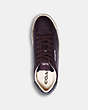 COACH®,CLIP LOW TOP SNEAKER,mixedmaterial,Deep Eggplant Charcoal,Inside View,Top View