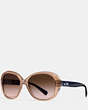 COACH®,CARTER SUNGLASSES,Plastic,MILKY BROWN/NAVY,Front View