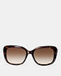Buckle Square Sunglasses