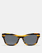 Glitter Cat Eye Varsity Stripe Sunglasses