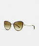 COACH®,OPEN WIRE CAT EYE SUNGLASSES,Metal,Light Gold/Grey Green,Front View