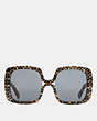 COACH®,OMBRE SIGNATURE SQUARE SUNGLASSES,Plastic,Spotty Tort Sig C,Inside View,Top View