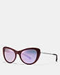 COACH®,OMBRE SIGNATURE CAT EYE SUNGLASSES,Plastic,Oxblood/Mirror Burgundy,Front View