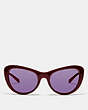 COACH®,OMBRE SIGNATURE CAT EYE SUNGLASSES,Plastic,Oxblood/Mirror Burgundy,Inside View,Top View