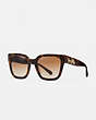 COACH®,HORSE AND CARRIAGE HOLOGRAM SQUARE SUNGLASSES,Mixed Material,DARK TORTOISE,Front View