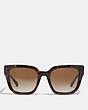 COACH®,HORSE AND CARRIAGE HOLOGRAM SQUARE SUNGLASSES,Mixed Material,DARK TORTOISE,Inside View,Top View