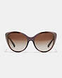 COACH®,BEVELED EDGE CAT EYE SUNGLASSES,Plastic,Taupe Laminate,Inside View,Top View