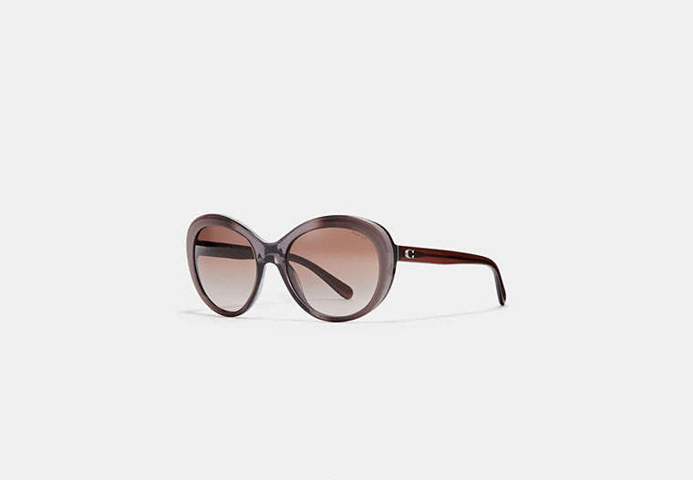 COACH®,BEVELED EDGE OVAL SUNGLASSES,Plastic,Taupe Laminate,Front View