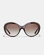 COACH®,BEVELED EDGE OVAL SUNGLASSES,Plastic,Taupe Laminate,Inside View,Top View