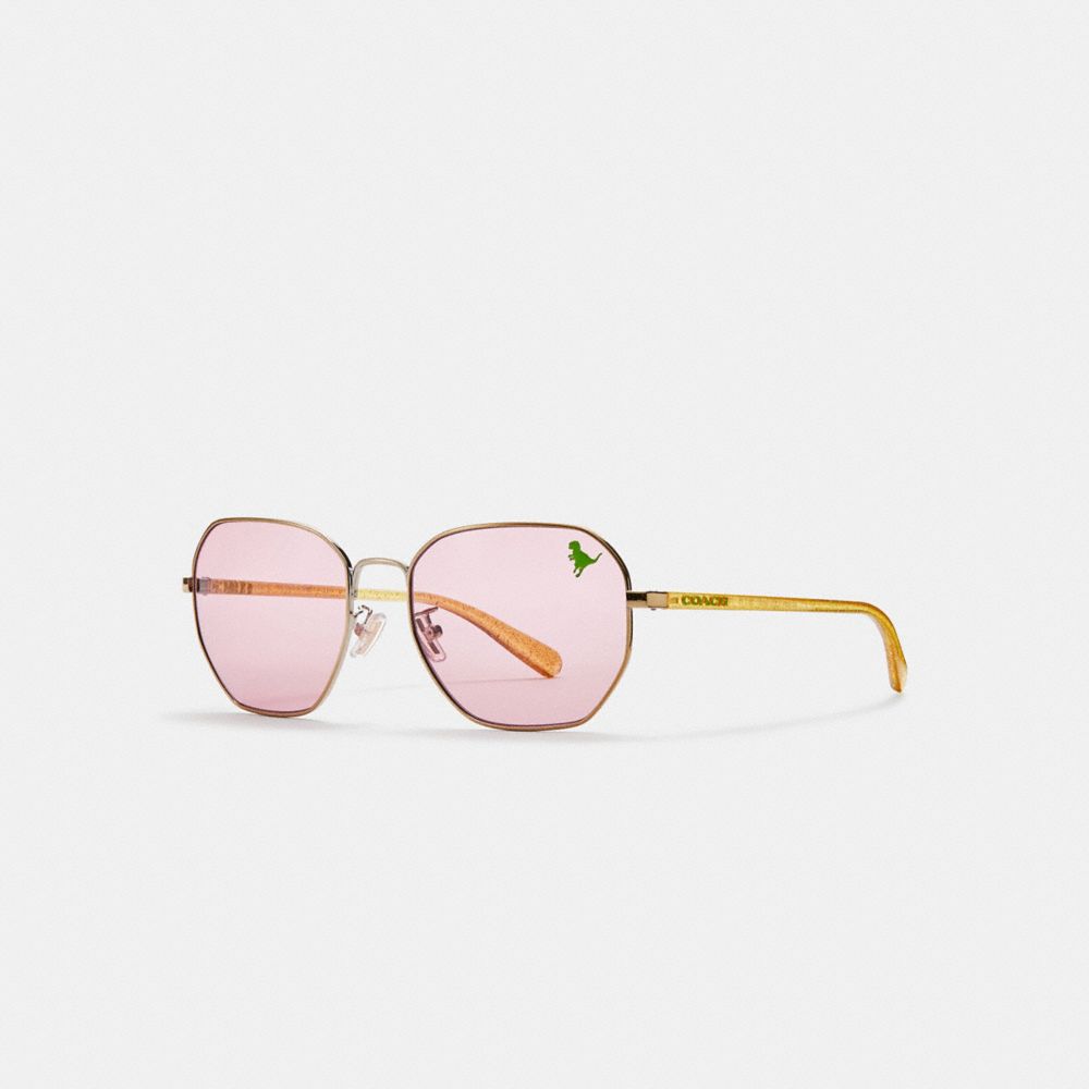 Shaped Sunglasses