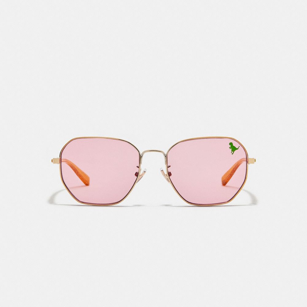 Shaped Sunglasses