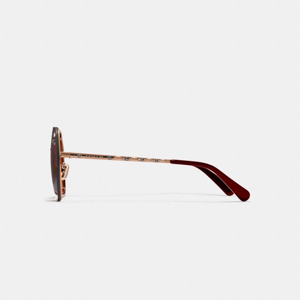 COACH®,Prairie Rivets Hexagon Sunglasses,,Alternate View