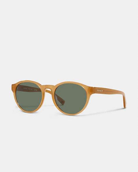 COACH®,WYTHE ROUND SUNGLASSES,Transparent Amber,Front View