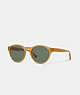 COACH®,WYTHE ROUND SUNGLASSES,Plastic,Transparent Amber,Front View