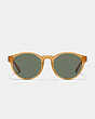 COACH®,WYTHE ROUND SUNGLASSES,Plastic,Transparent Amber,Inside View,Top View