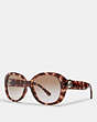 COACH®,OVERSIZED METAL SOFT SQUARE SUNGLASSES,Plastic,Pink Tortiose,Front View