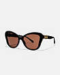 Horse And Carriage Butterfly Sunglasses