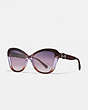 COACH®,HORSE AND CARRIAGE BUTTERFLY SUNGLASSES,Plastic,Brown Purple Gradient,Front View