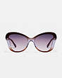 COACH®,HORSE AND CARRIAGE BUTTERFLY SUNGLASSES,Plastic,Brown Purple Gradient,Inside View,Top View