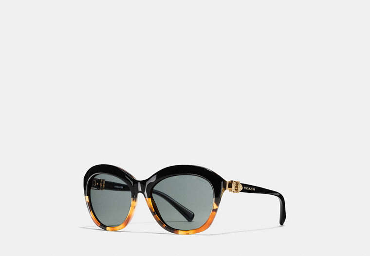 Buckle Cat Eye Sunglasses