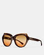 COACH®,OASIS CAT EYE SUNGLASSES,Plastic,Brown Glitter,Front View