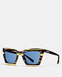COACH®,VARSITY RECTANGLE SUNGLASSES,Plastic,Blue Honey Gltr Varsity Stripe,Front View
