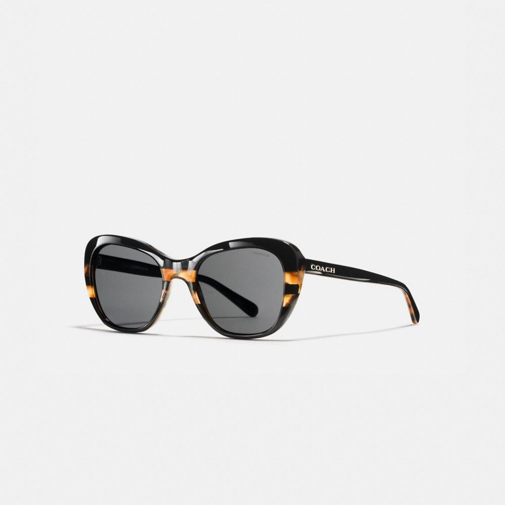 Coach cat eye sunglasses online