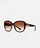 COACH®,HORSE AND CARRIAGE SOFT SQUARE SUNGLASSES,Plastic,Dark Tort/Dark Tort Gold Sig C,Front View