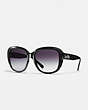 COACH®,HORSE AND CARRIAGE SOFT SQUARE SUNGLASSES,Plastic,Black/Black Gunmetal Sig C,Front View