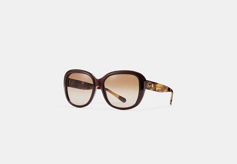 COACH®,HORSE AND CARRIAGE SOFT SQUARE SUNGLASSES,Plastic,Dark Honey,Front View