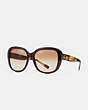 COACH®,HORSE AND CARRIAGE SOFT SQUARE SUNGLASSES,Plastic,Dark Honey,Front View