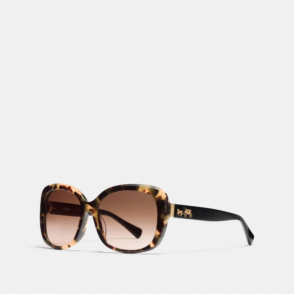 Horse And Carriage Asian Fit Square Sunglasses