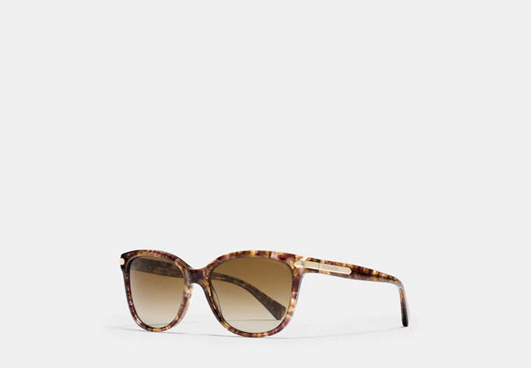 Tag Temple Cat Eye Polarized Sunglasses
