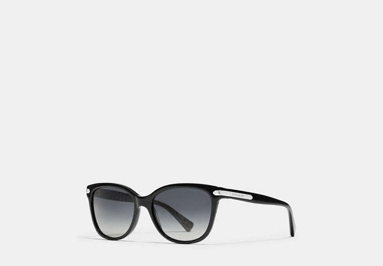 Tag Temple Cat Eye Polarized Sunglasses
