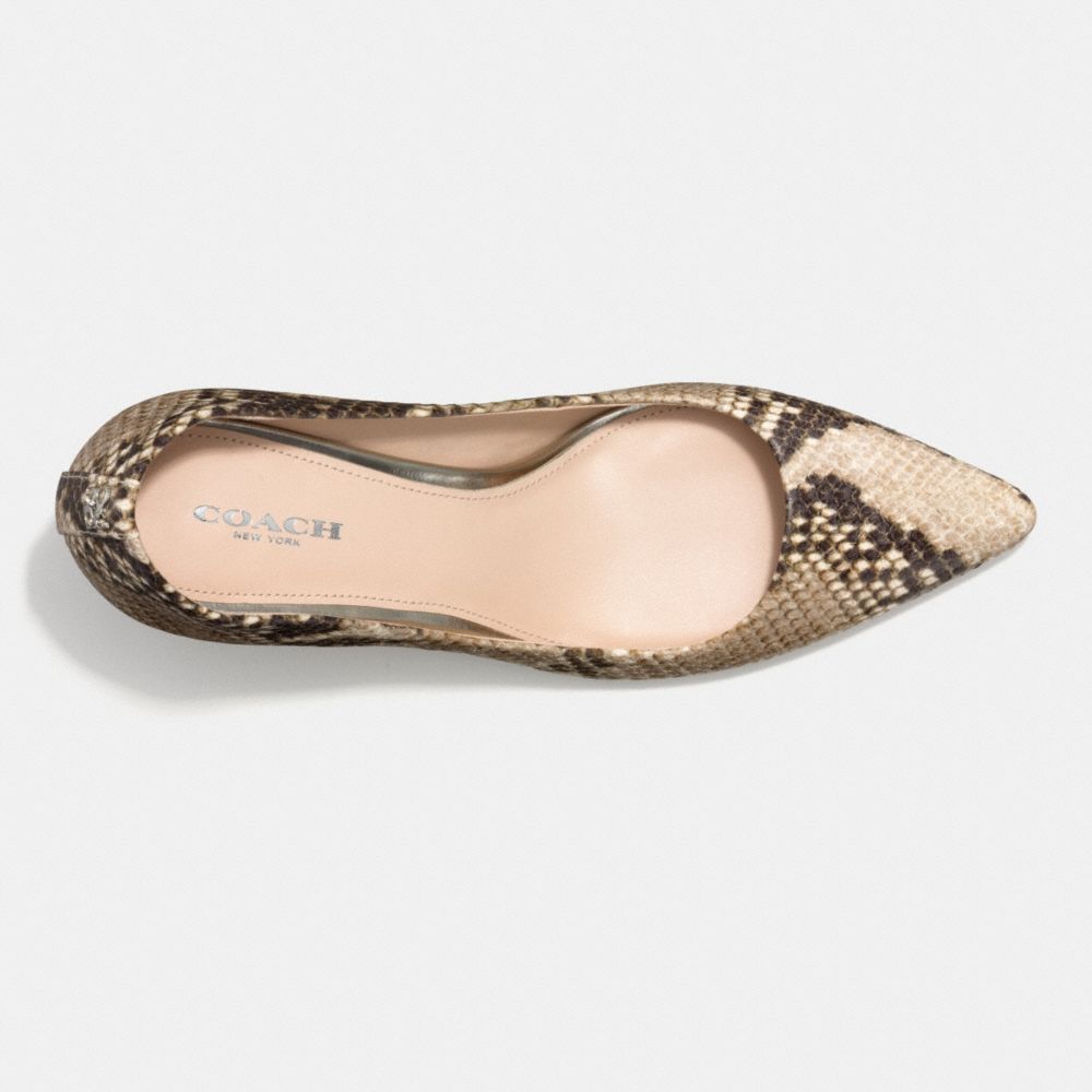 Grand Heel