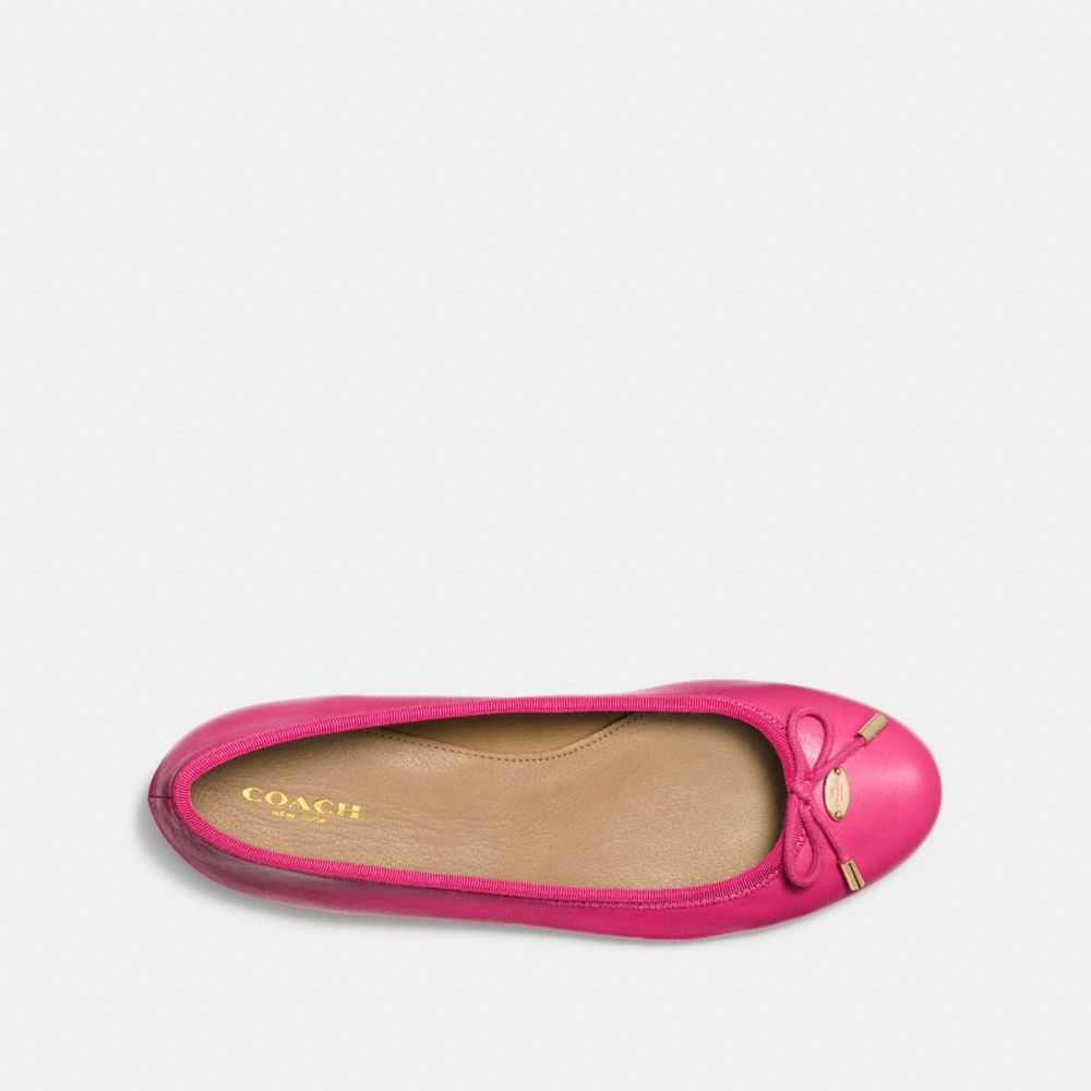 Dahlia,Inside View,Top View