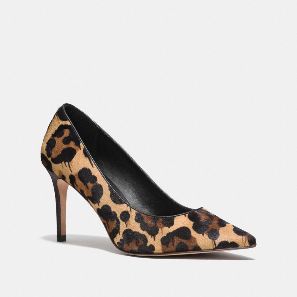 Smith Pump