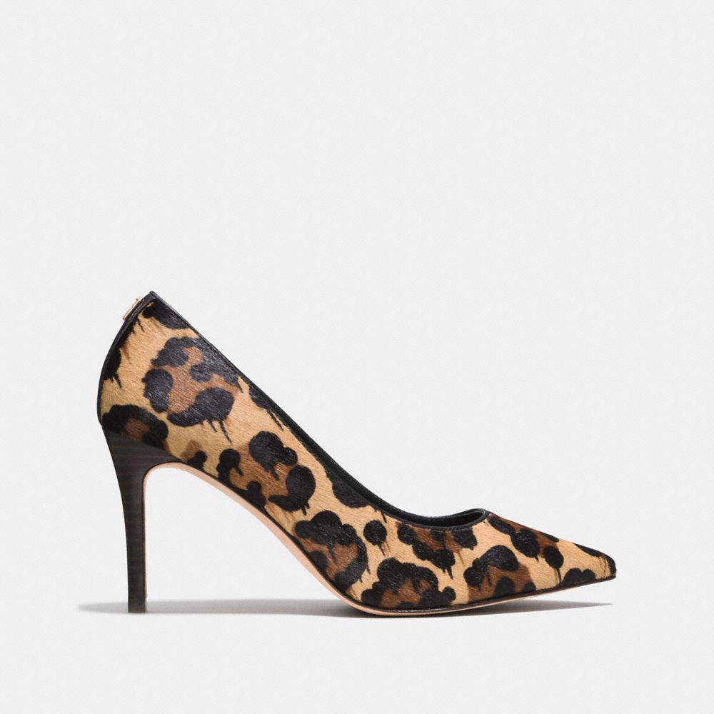 Smith Pump