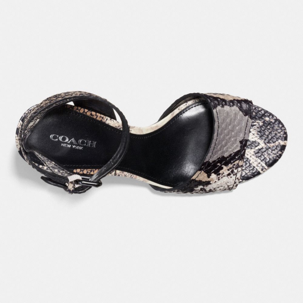 Pipher Heel