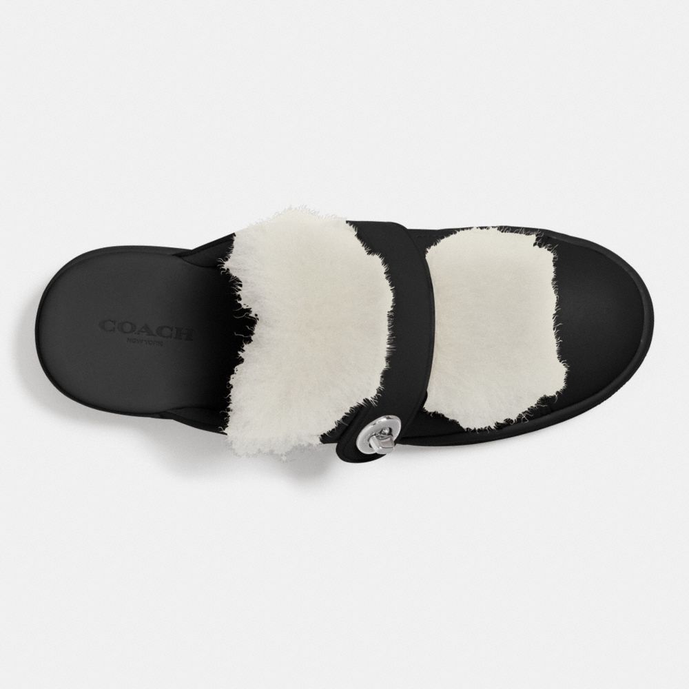 COACH®,LO TOP SLIDE SNEAKER,Mixed Material,Black/Natural,Inside View,Top View