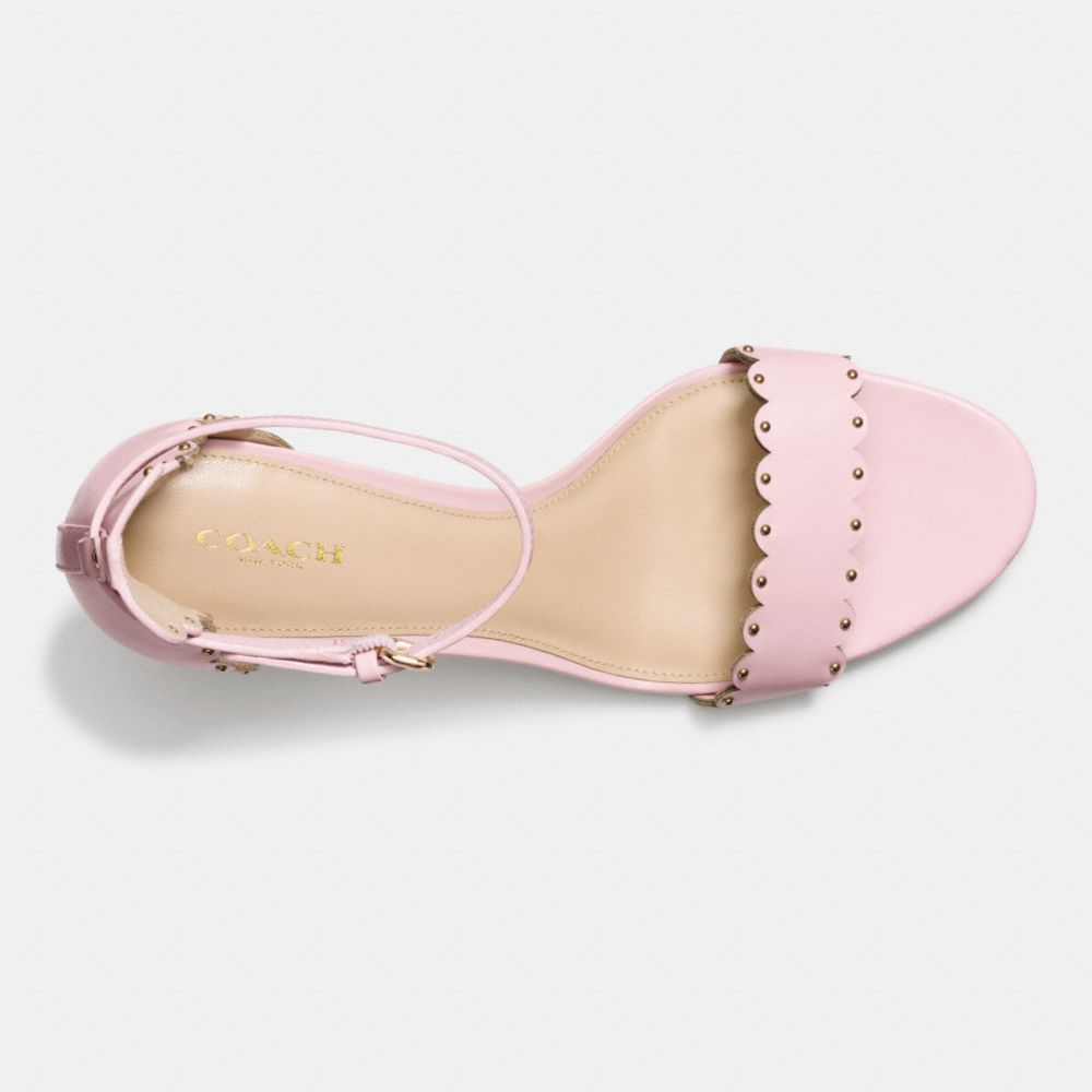 Pétale,Inside View,Top View