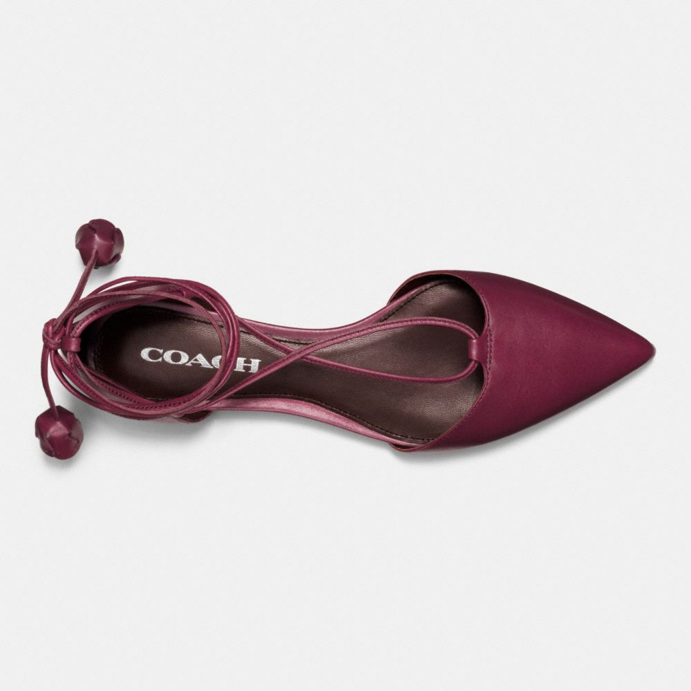 Johnson Tea Rose Flat