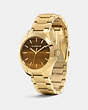 COACH®,TRISTEN COLOR DIAL WATCH,Metal,TIGER EYE,Angle View